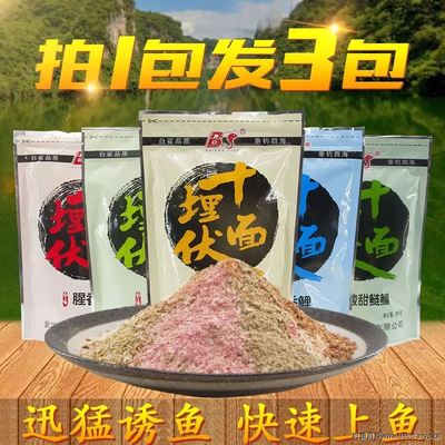 什么鱼饵1小时上鱼10公斤?白鲨高手亲自试钓,展示不断上鱼的秘密武器!