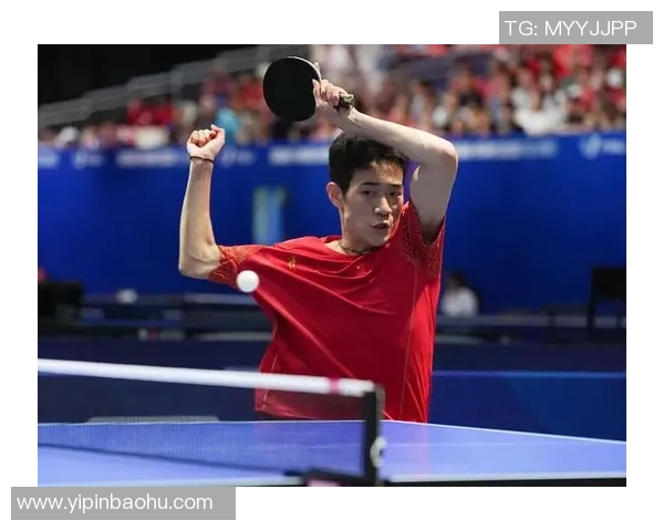 成都乒乓球队在全国耐力排行榜中荣获第五名的辉煌成就