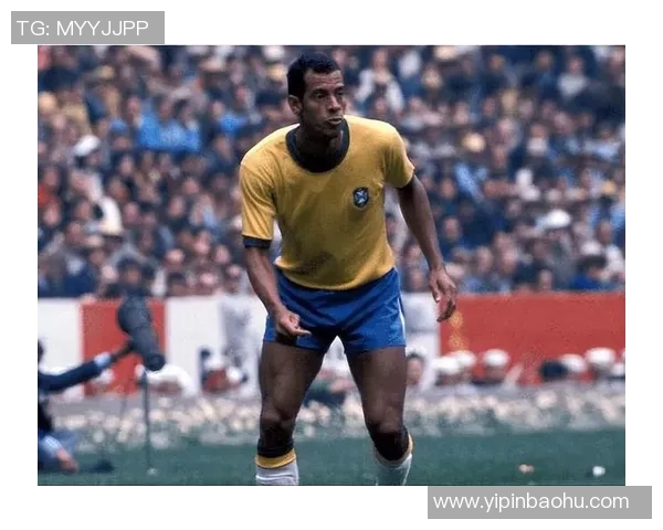 巴西足球传奇人物介绍及其辉煌成就与影响力分析